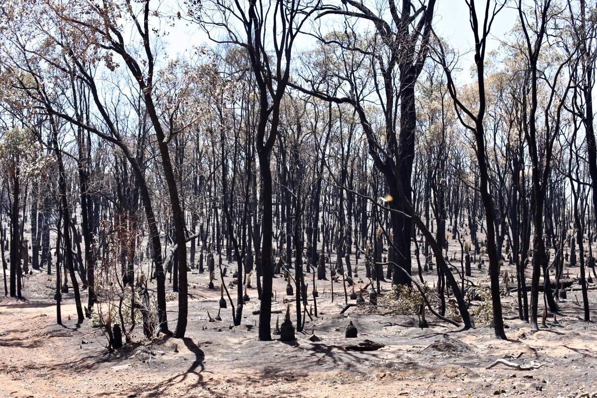 With at least 81 homes destroyed, residents are slowly returning to inspect the damage.