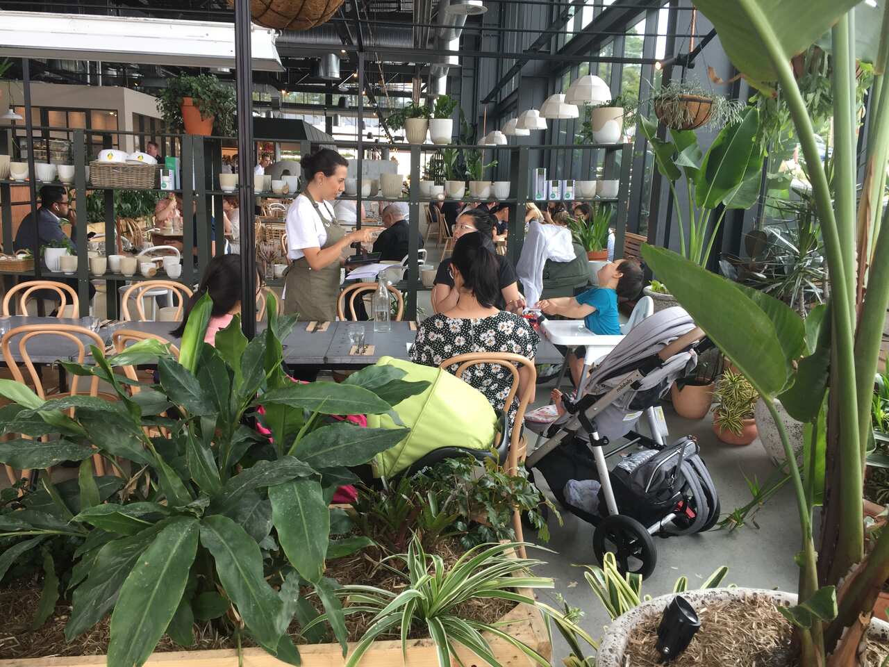 Acre in Artarmon is one of the company's most ambitious ventures