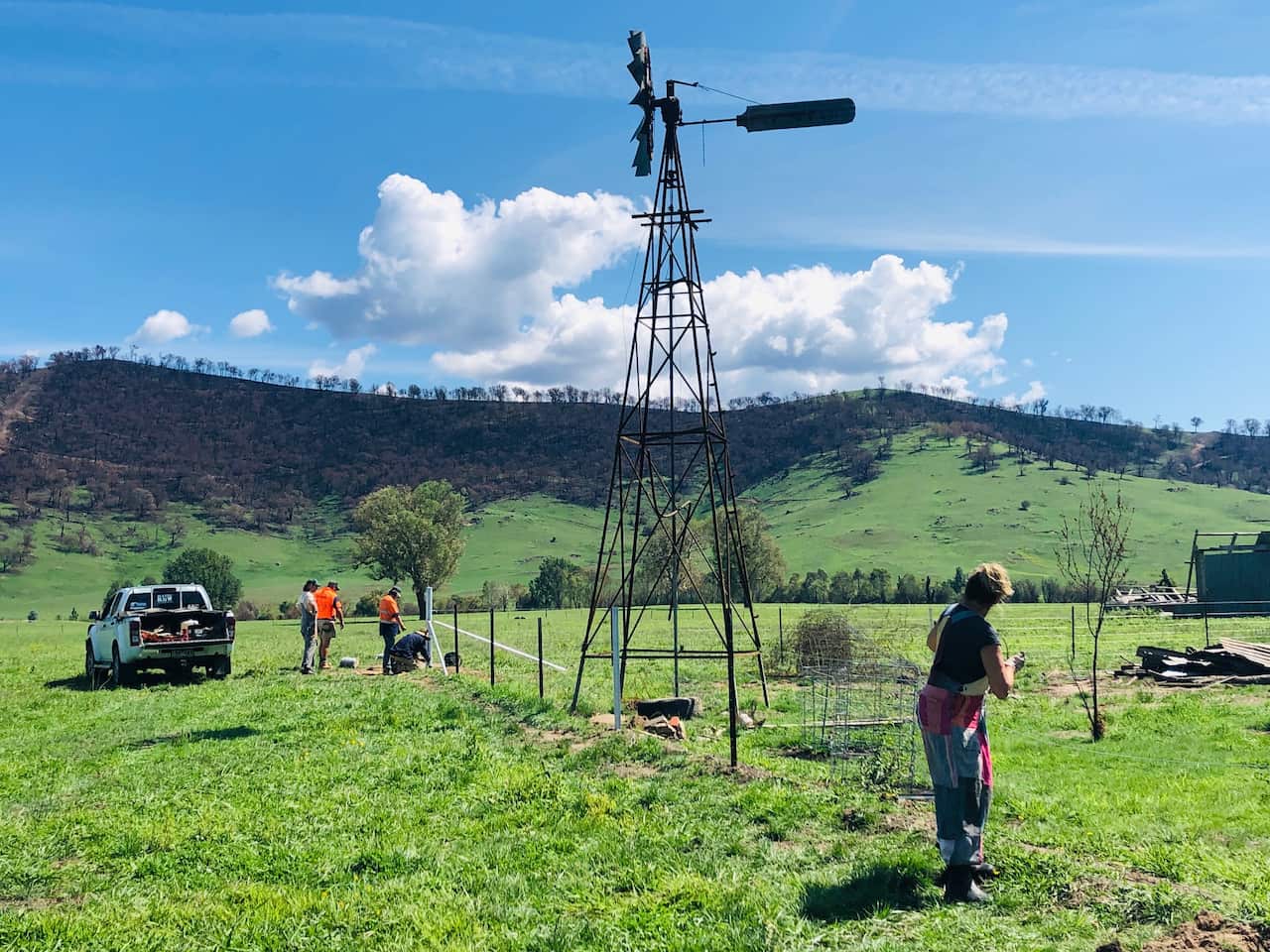 Fencing in Upper Murray