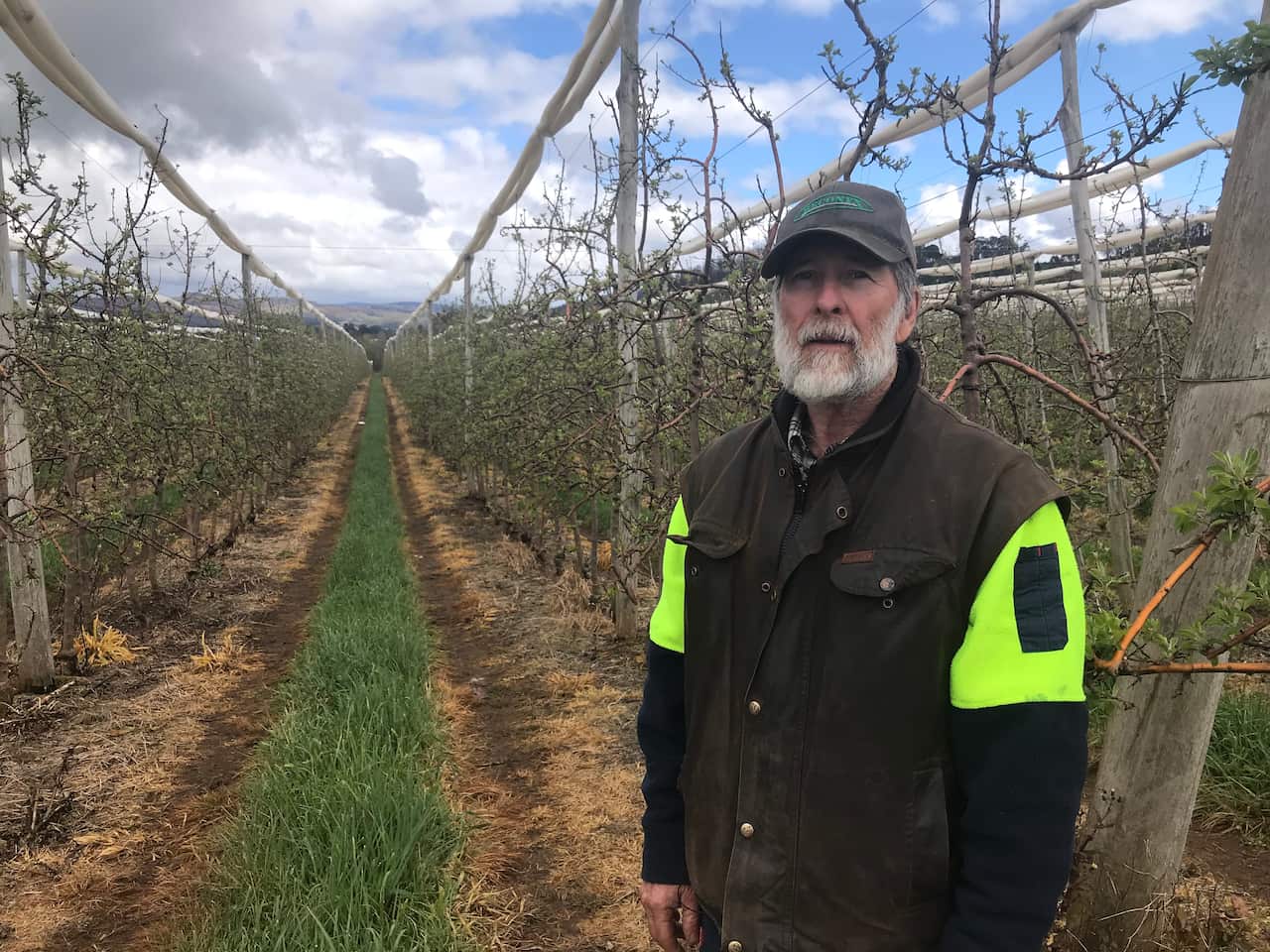 Batlow cherry and apple grower Ralph Wilson is hopeful 2021 will be a more stable year.