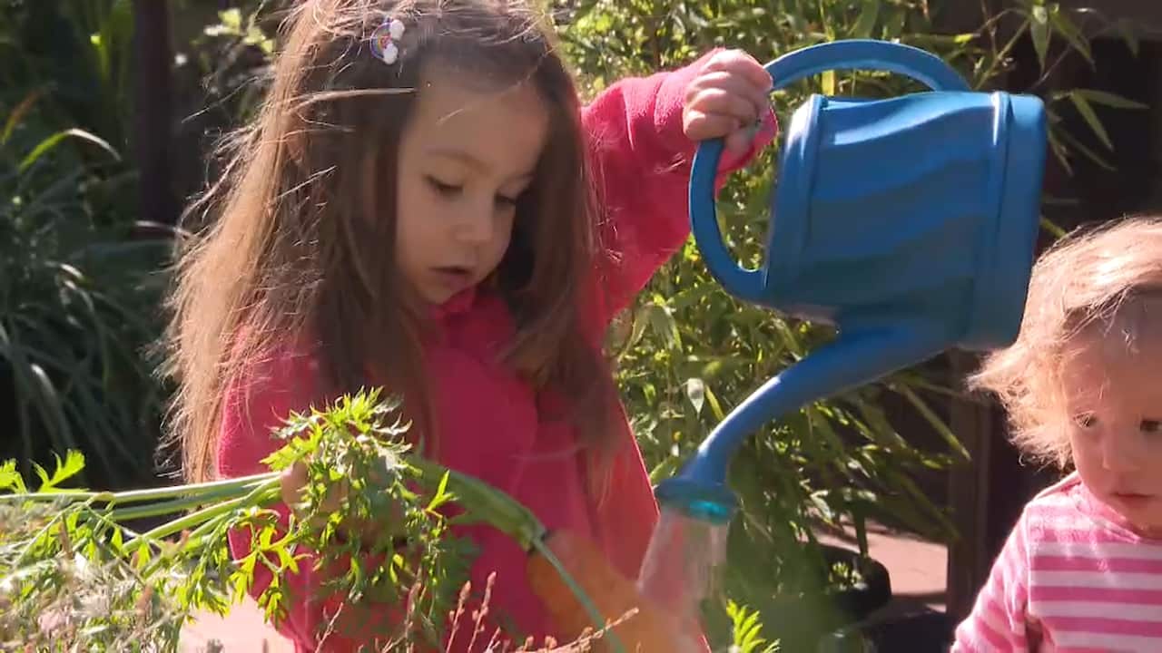 Jessica's children in Nana Carey's garden 