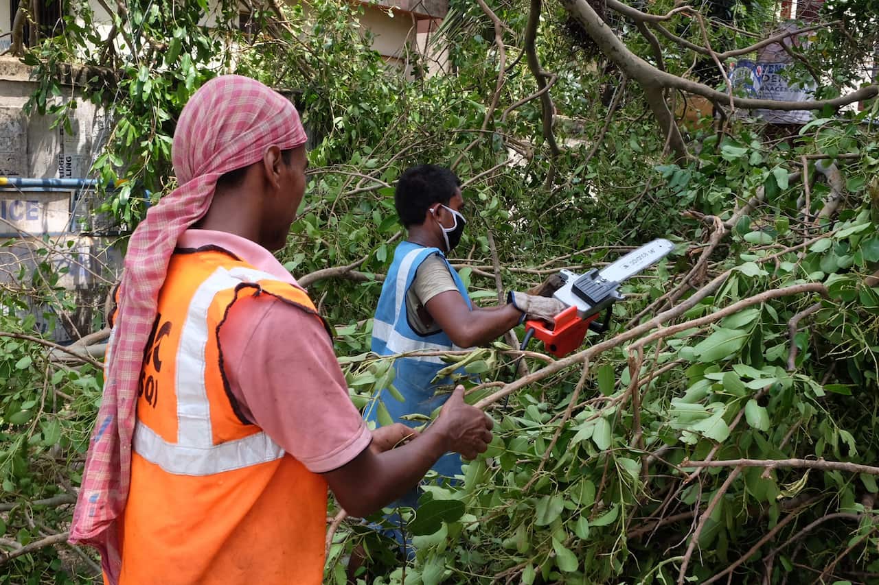 Wood cutter machines are used on uprooted trees to clear the road in Kolkata.