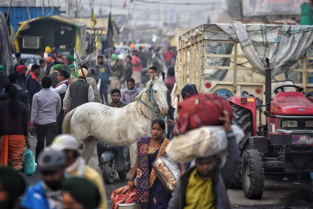 Farmers celebrate after the SKM leaders announced to call off the agitation, at Singhu Border, on 9 December, 2021 in New Delhi, India. 