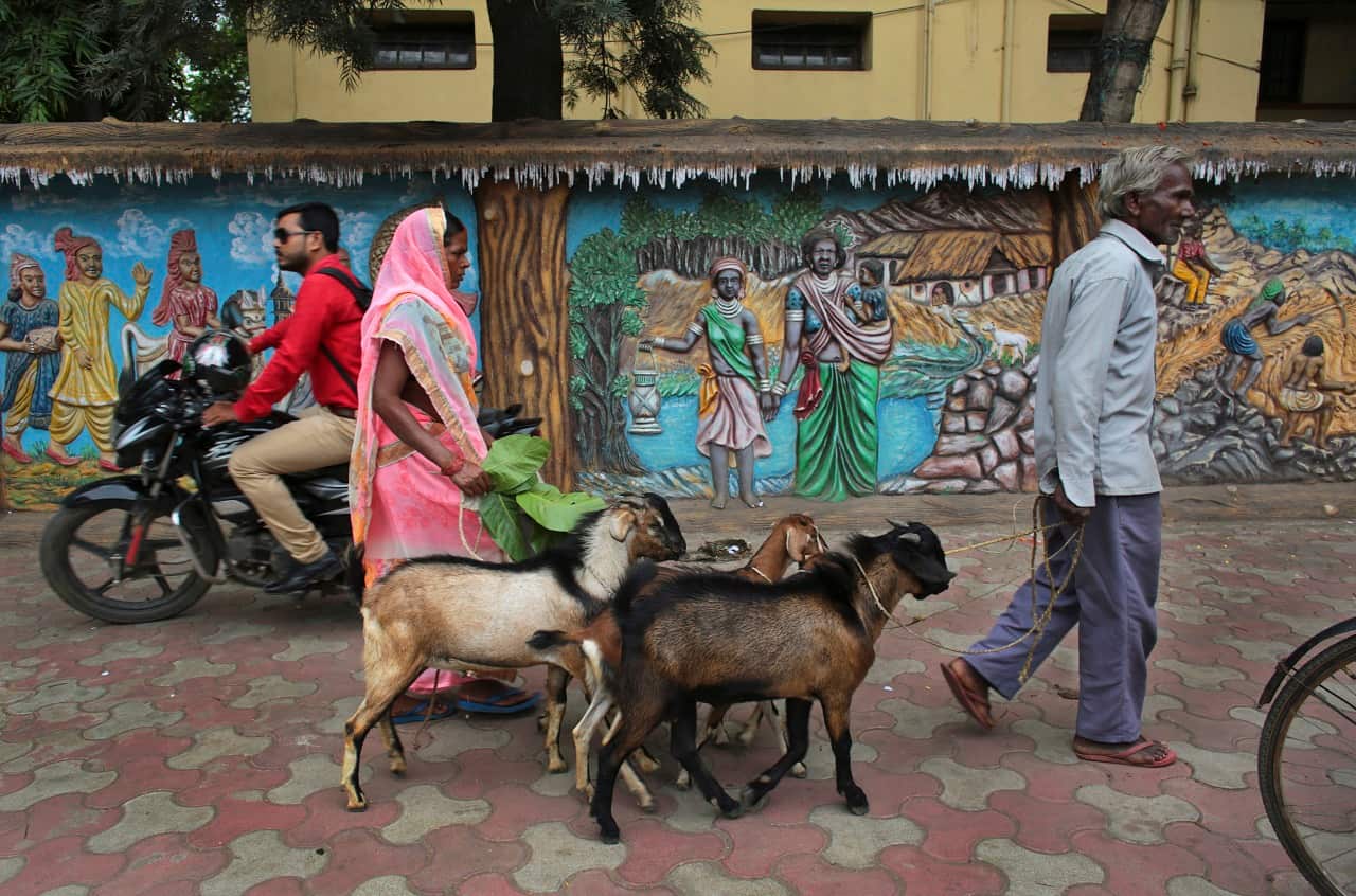 A couple walk with their livestock past murals depicting scenes from the tribal belt of Hazaribagh, India, a poor and socially conservative part of Hindu politician Jayat Sinhas constituency.