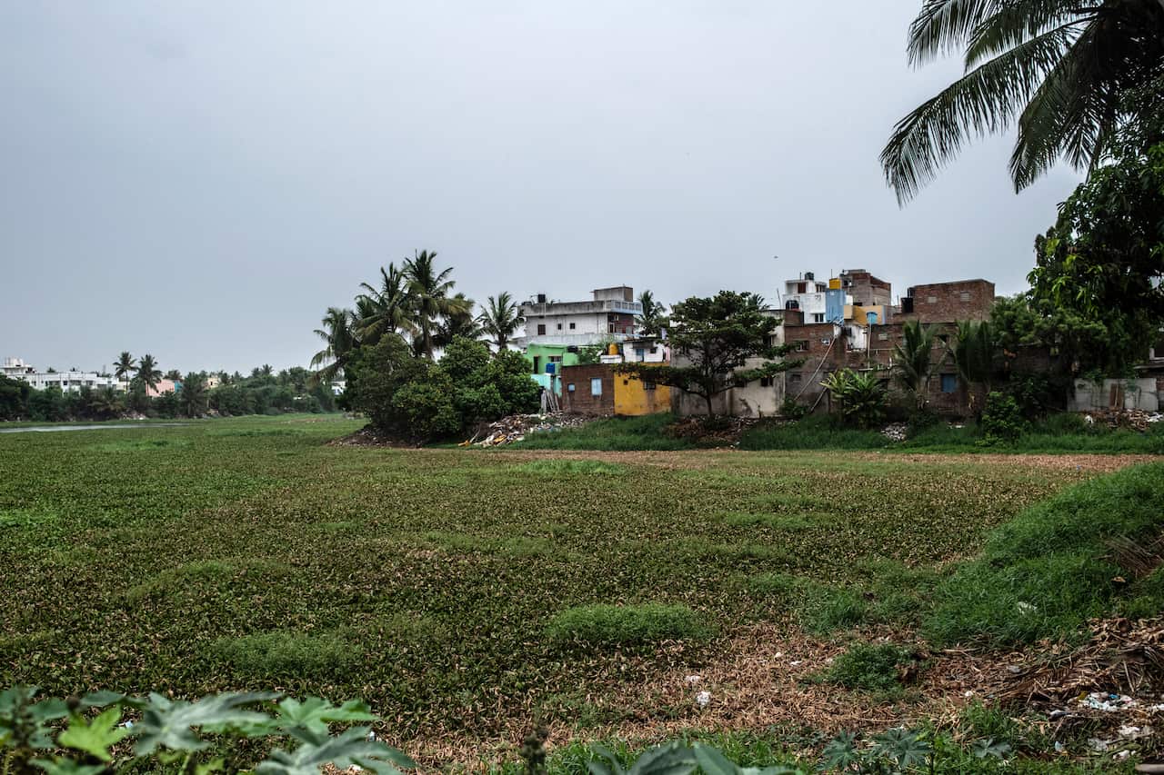 Houses on the edge of a lake in the Velachery neighborhood of Chennai on June 26, 2019. The area has seen rapid growth, some of which has occurred on a former lake-bed.