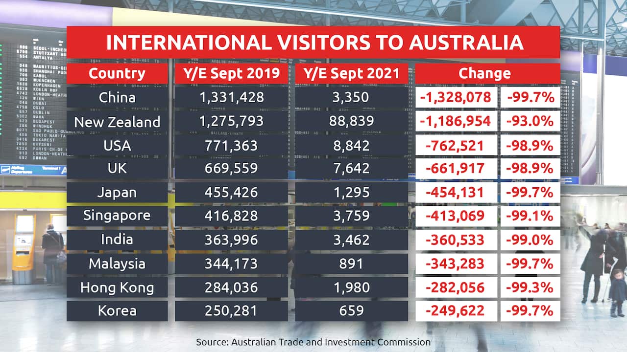 International visitors to Australia.