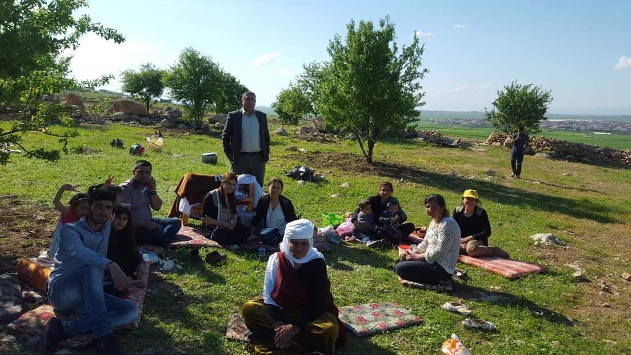 A family gathers for a picnic in a grassy paddock