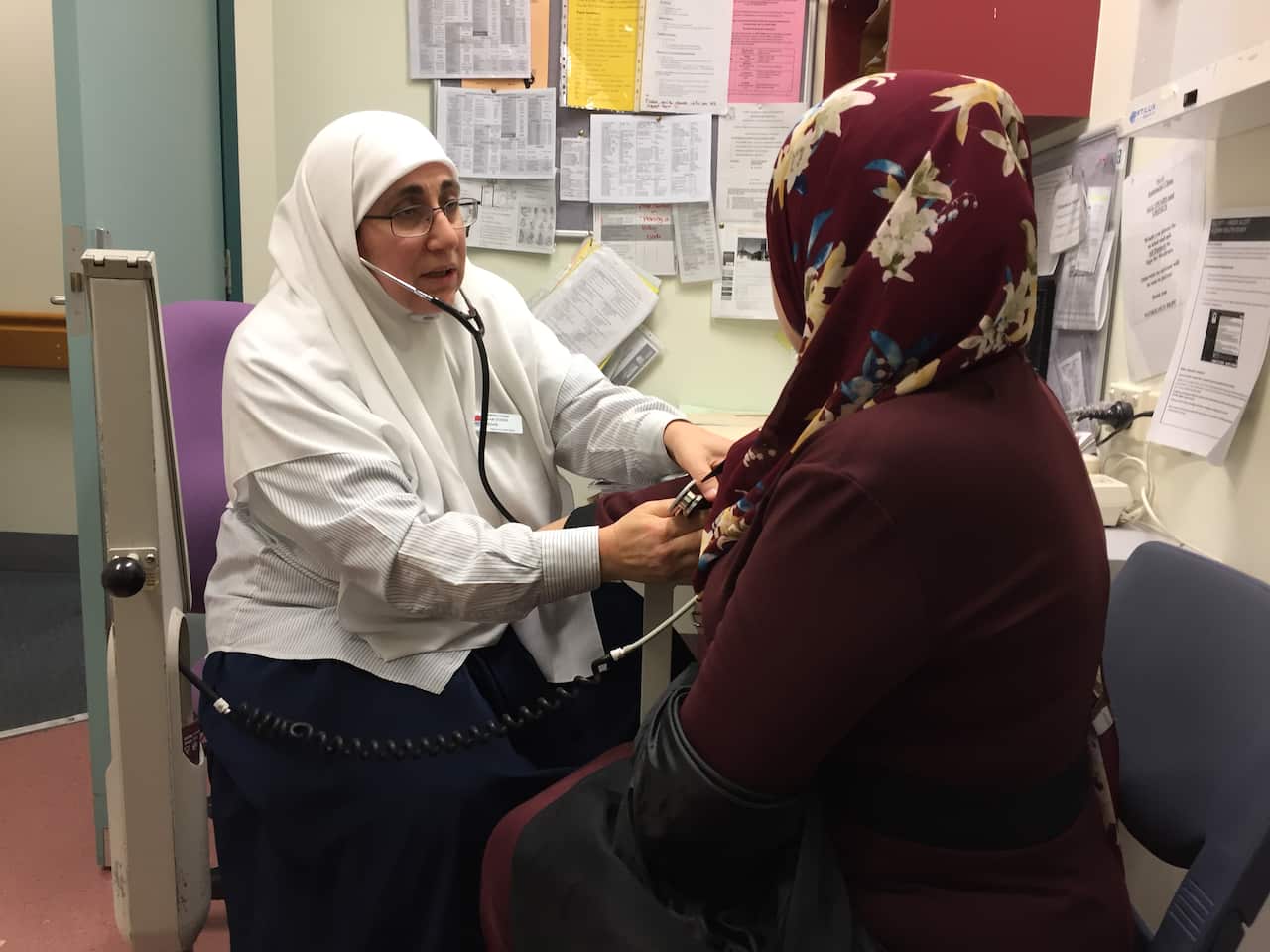 Ismat Ouaida says she loves her job running the Arabic Midwifery Clinic at Canterbury Hospital in Sydney's west. 