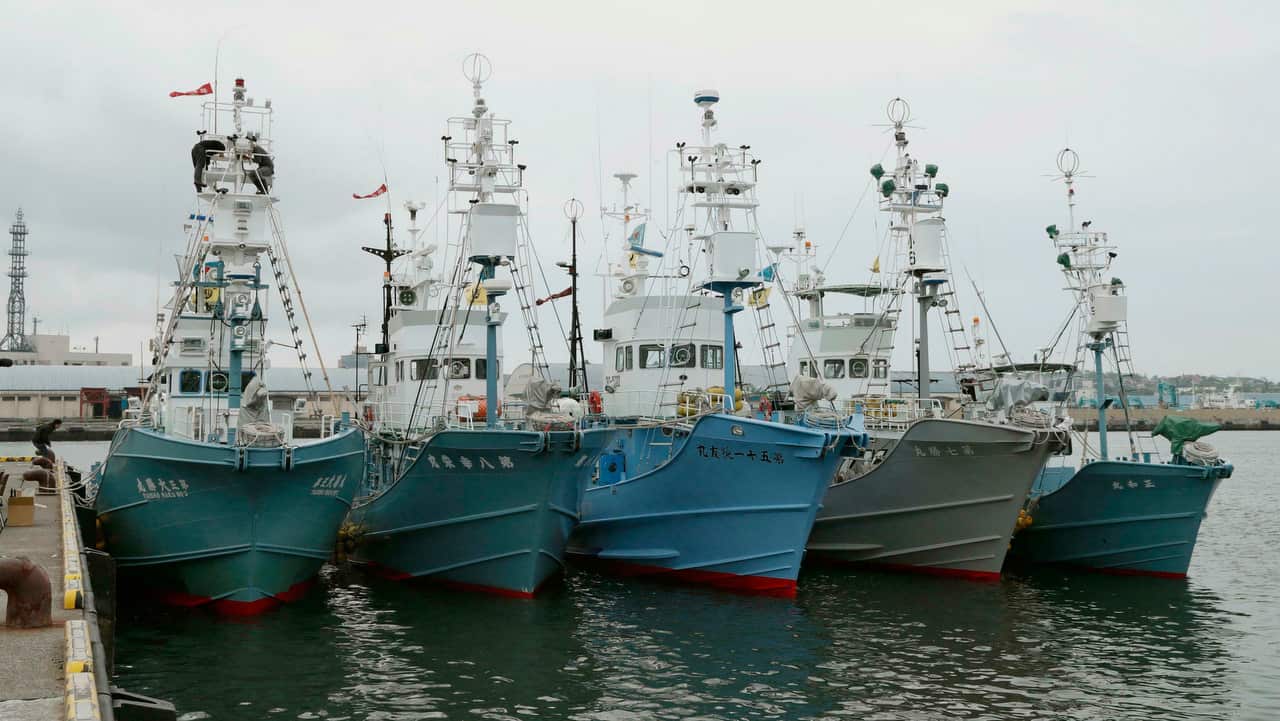 Ships at Kushiro port in Hokkaido ahead of their departure for Japan's first commercial whaling operation in 31 years.