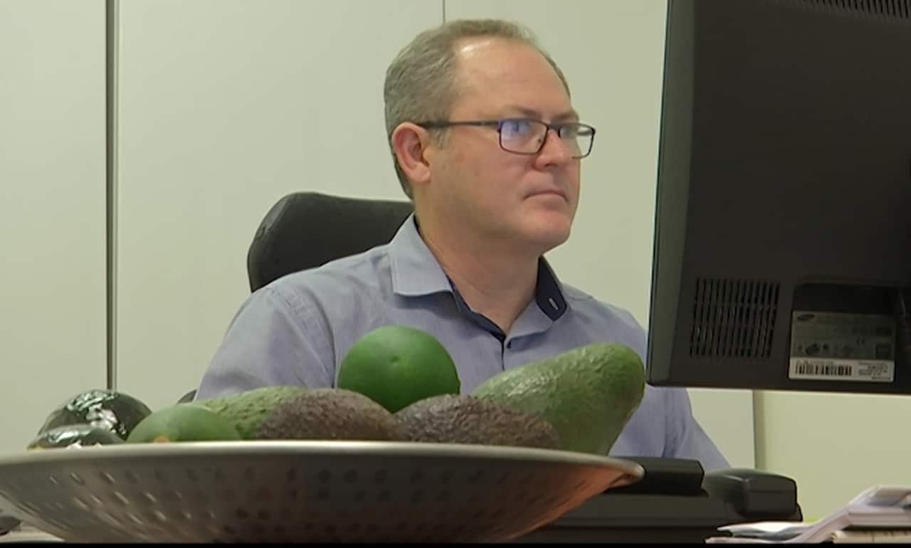 John Tyas CEO of Avocados Australia