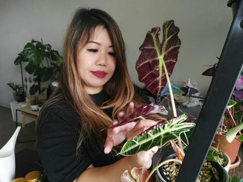 Melbourne renter Jolene Choo 