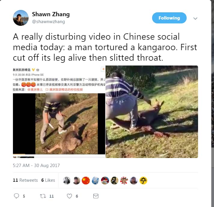 Kangaroo attack