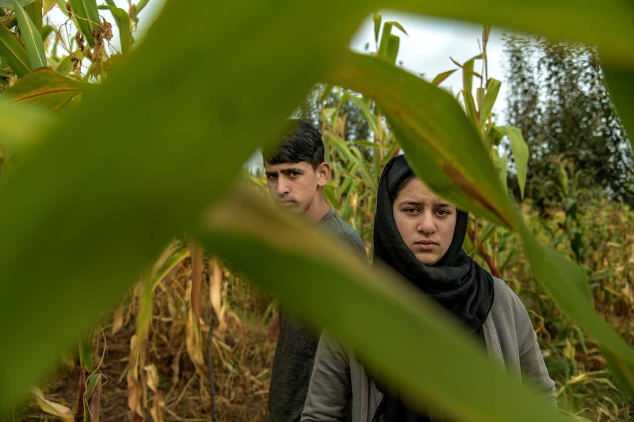 Musaib Amin, left, who now helps his grandmother pin the fields picking tomatoes, and his sister Asra Jan, both from Chari Sharif, a village in Kashmir, Oct. 18, 2019.