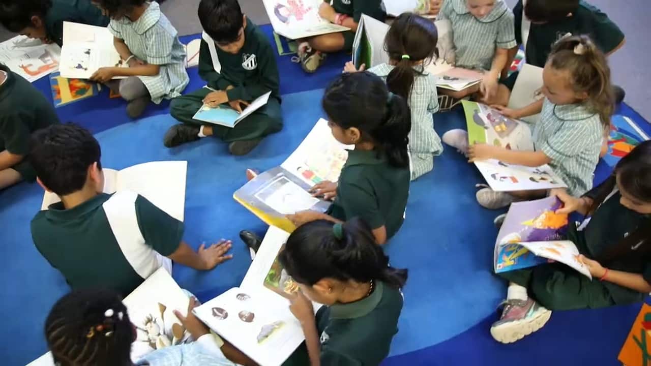 Teachers at Colyton Public School seek out books which celebrate multiculturalism.