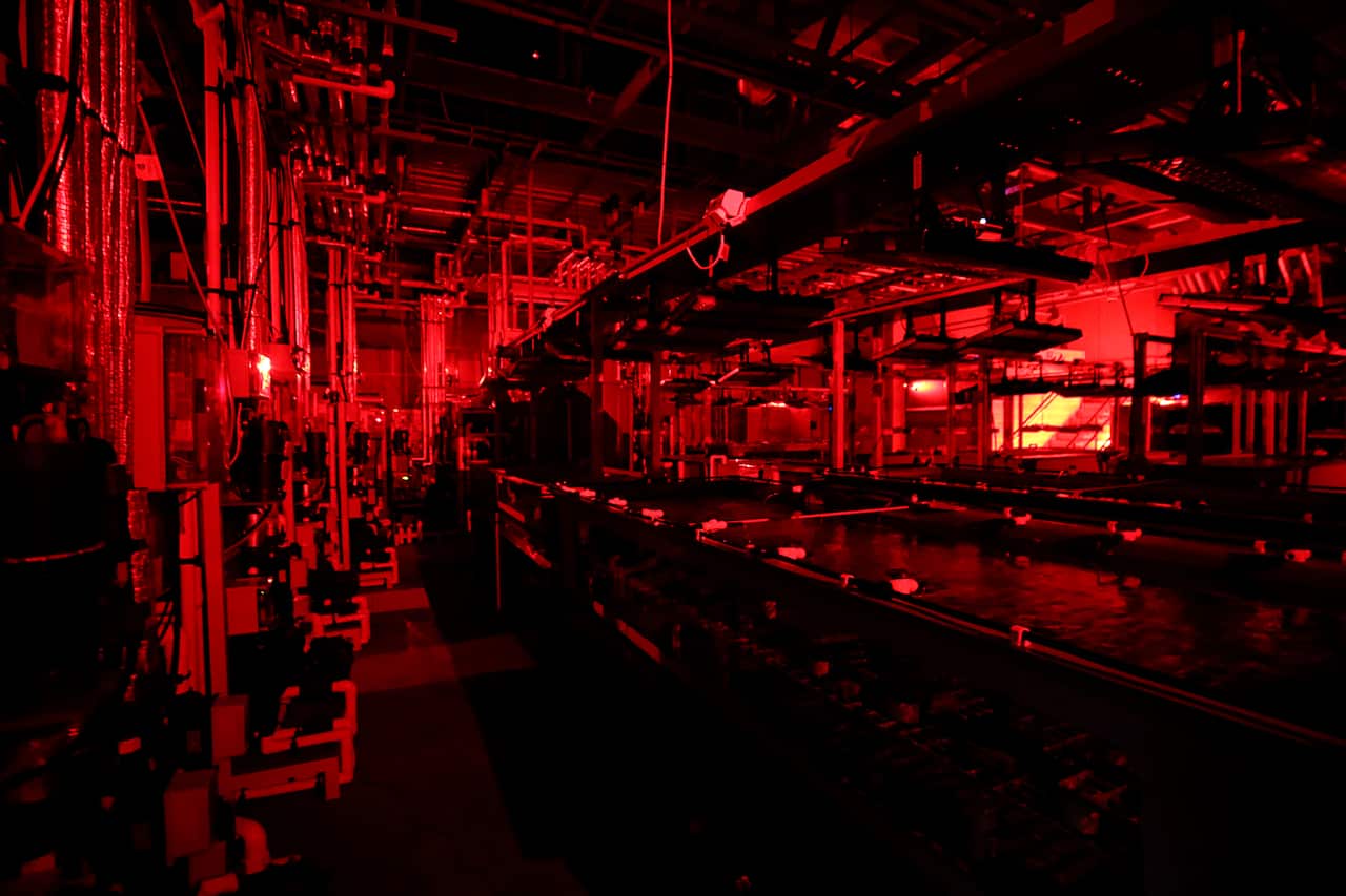 The experiments were conducted at the Australian Institute of Marine Science in a sea simulator.