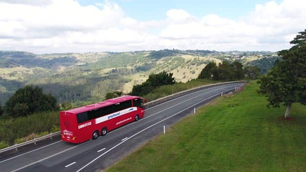 Greyhound Australia says it has reached out to the federal government for support but has received no response.