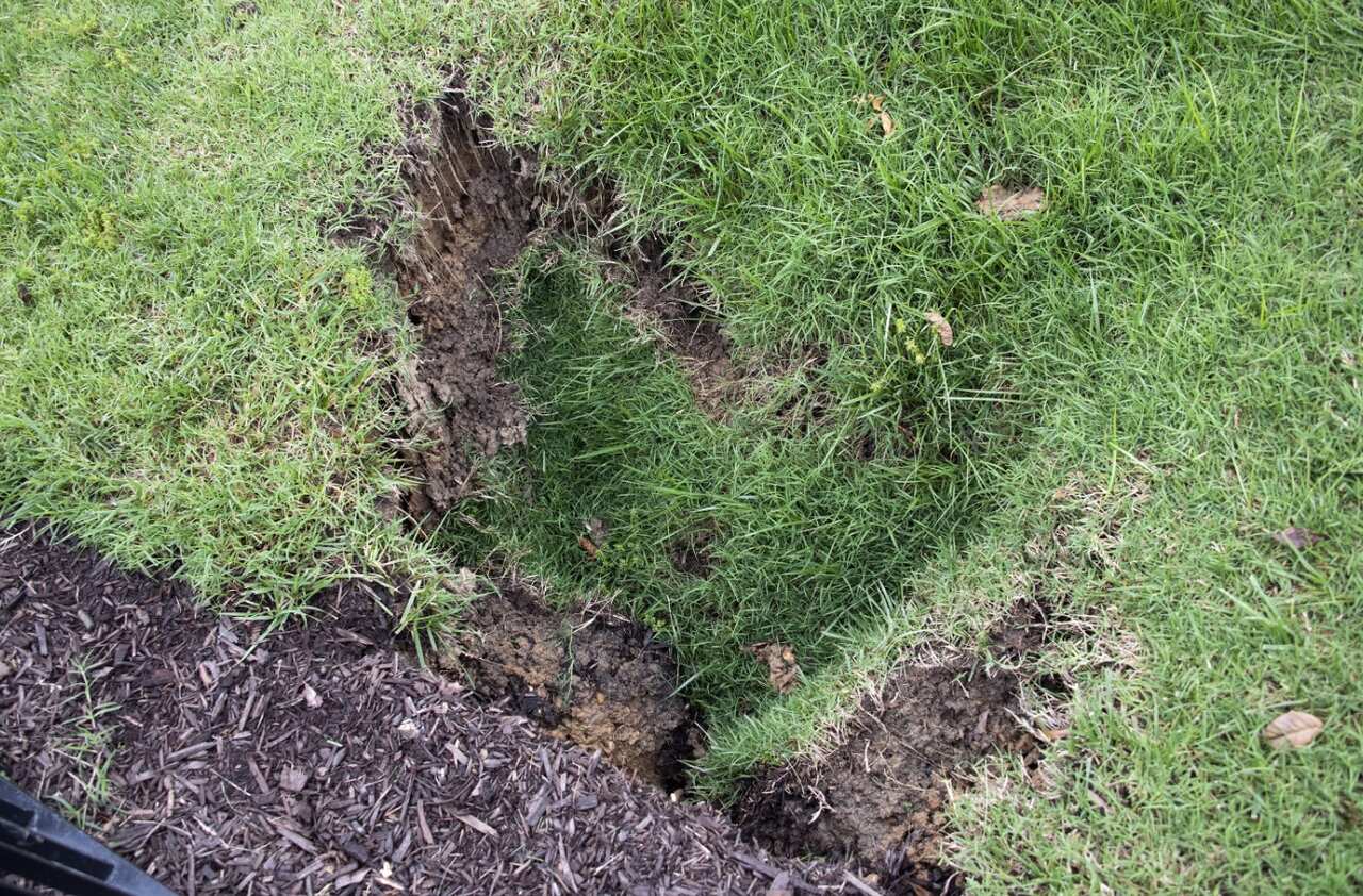 A sinkhole has opened the North Lawn of the White House across the driveway from the briefing room in Washington