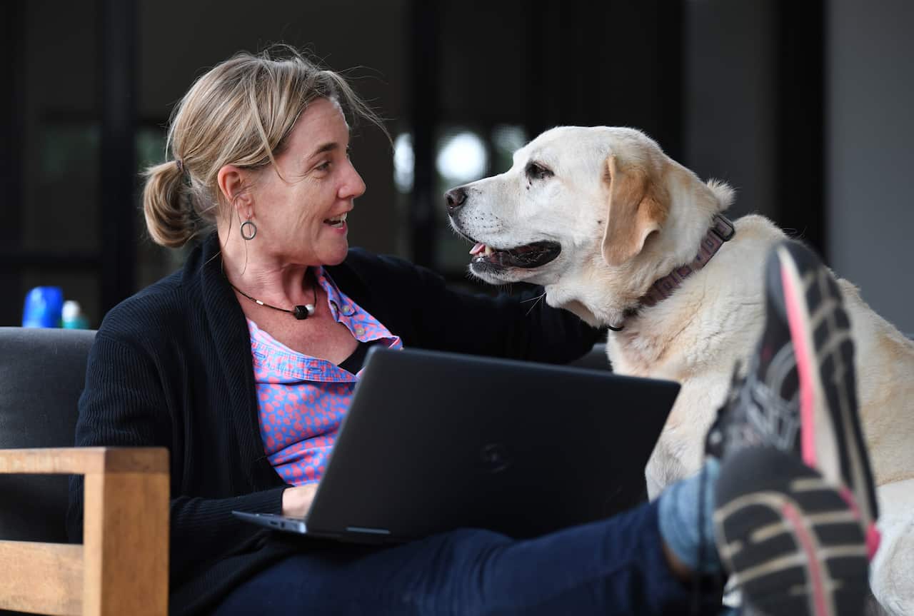 Lawyer Mary-Louise Shearer is accompanied by her labrador Daisy as she works from home in Brisbane.