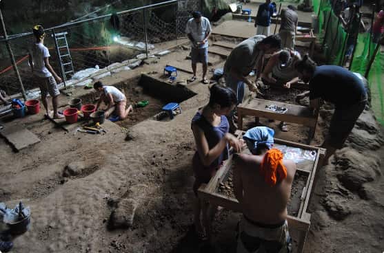 Discovery of Homo luzonensis, co-led by Florent Detroit