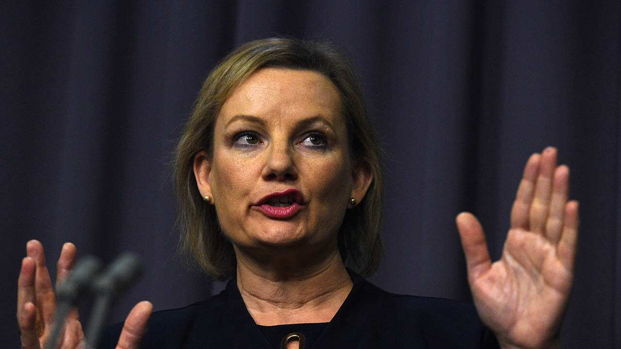 mental health youth south australia budget election auspol funding cuts 