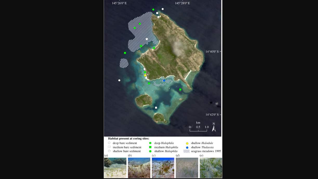 Sites around Lizard Island where sediments of seagrass were collected.