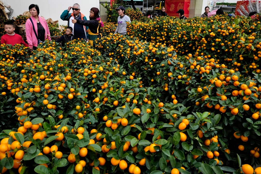 Shoppers buy Mandarin oranges at a New Year market in Hong Kong.