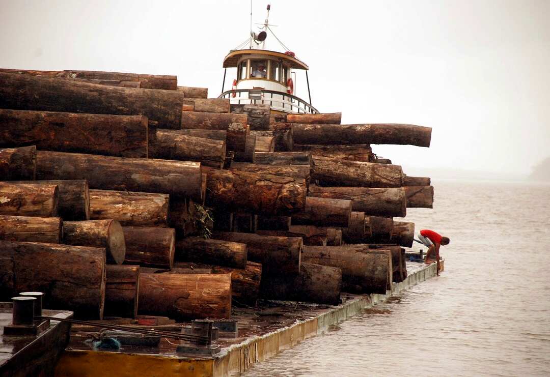 A man is seen on a raft loaded with confiscated logs that were illegally cut from the Amazon rainforest.
