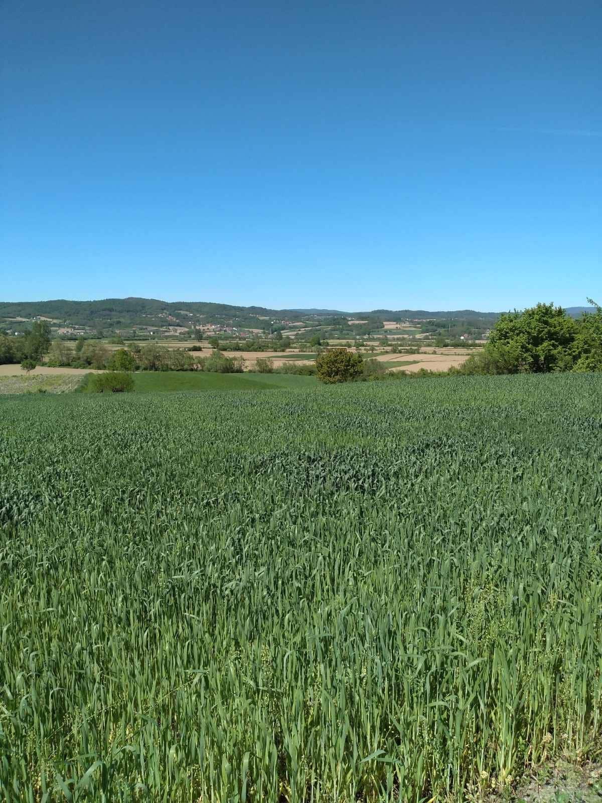 The countryside in Loznica, in Serbia's west
