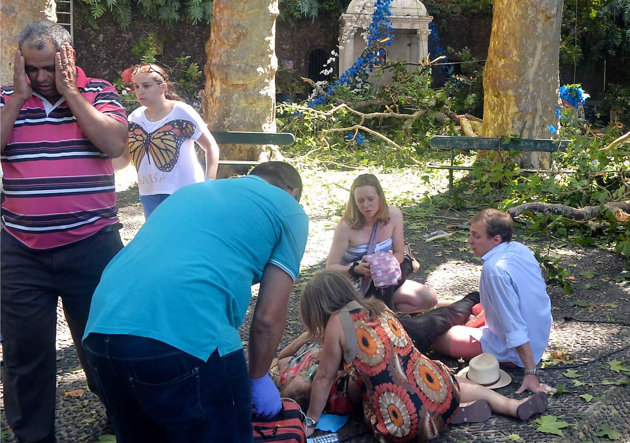 Falling tree crushes worshippers in Portugal
