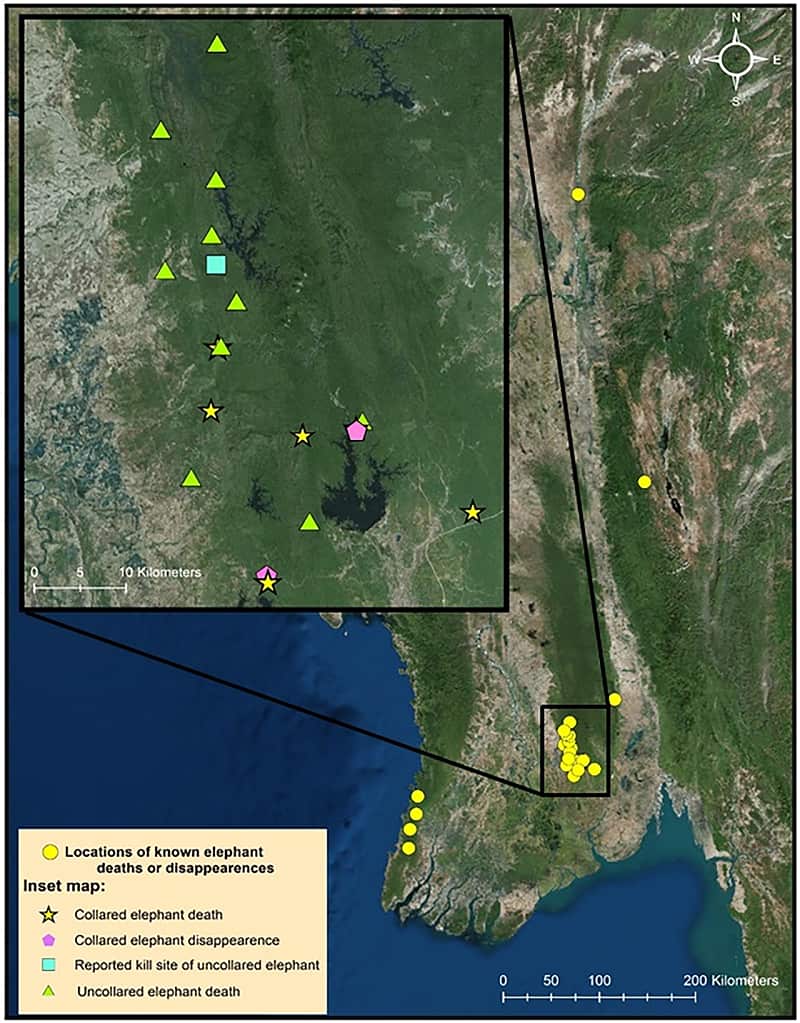 map shows elephants lost at the Bago Yoma field site, including collared and uncollared elephants.