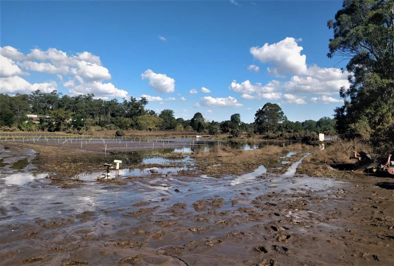All that remains after floods swept through a market garden in Sackville.