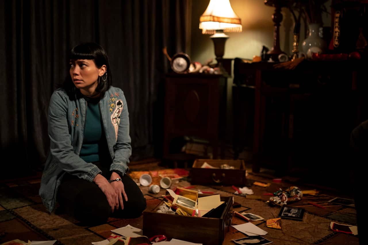 Catherine Văn-Davies describes the series as a "celebration of Vietnamese diaspora in Australia dealing with grief, trauma, lineage and culture."