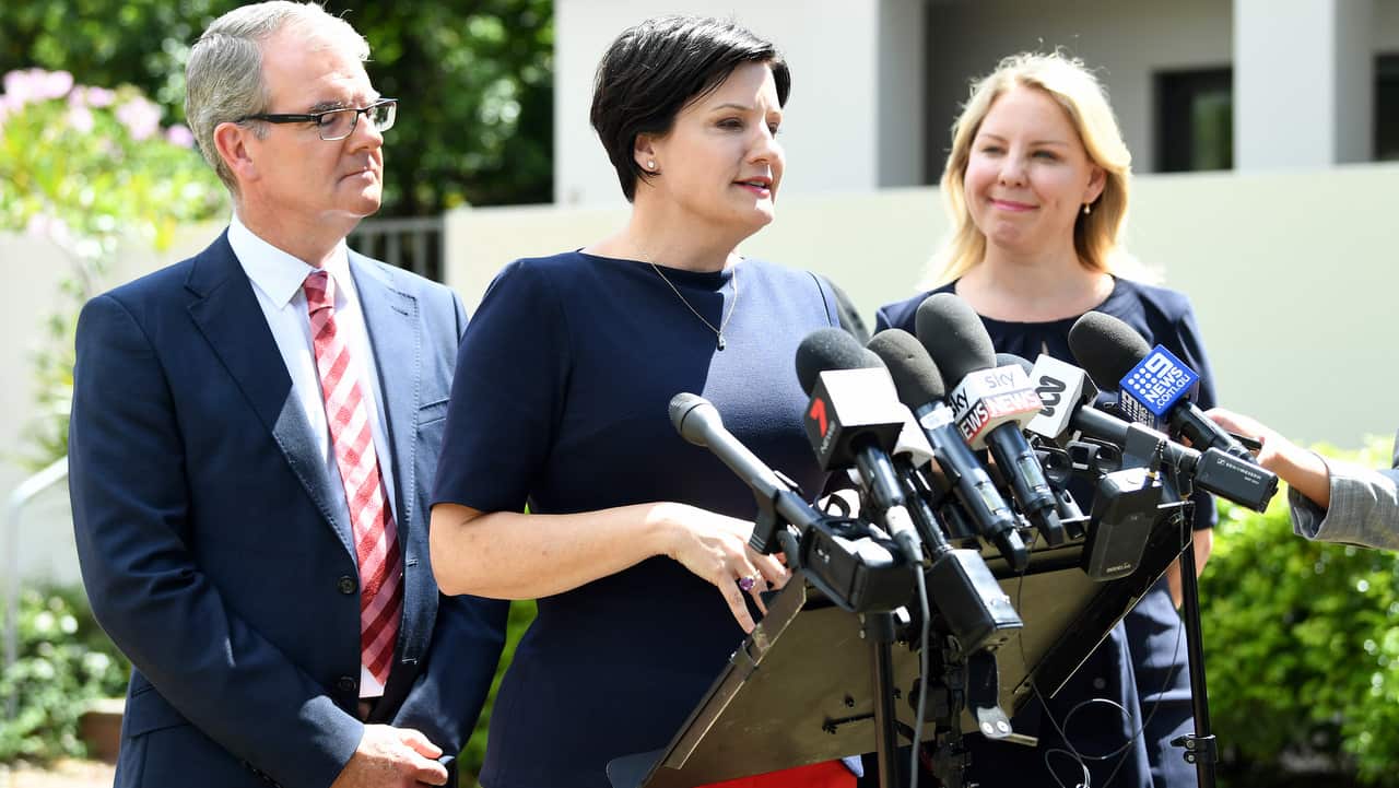 Jodi McKay (centre) at a press conference at Mortdale railway station in Sydney on 12 November, 2018.  