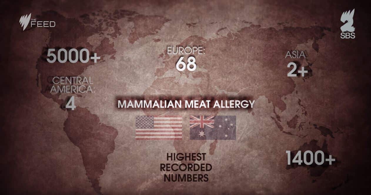 Mammallian meat allergy stats around the world