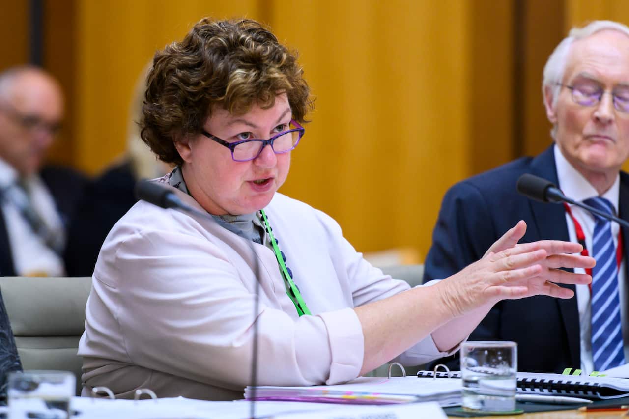 Home Affairs General council Pip De Veau.