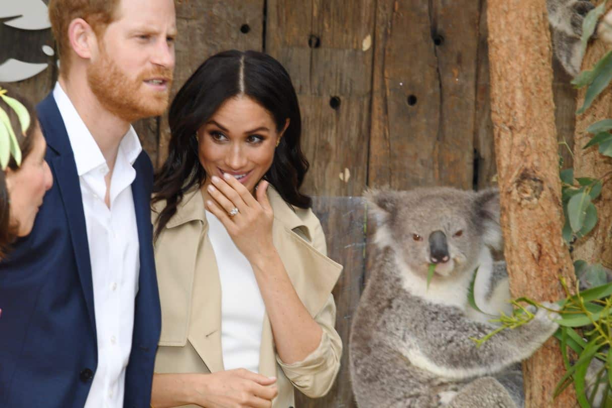Britain's Prince Harry and his wife Meghan are seen meeting Ruby a mother koala who gave birth to koala joey named Meghan.