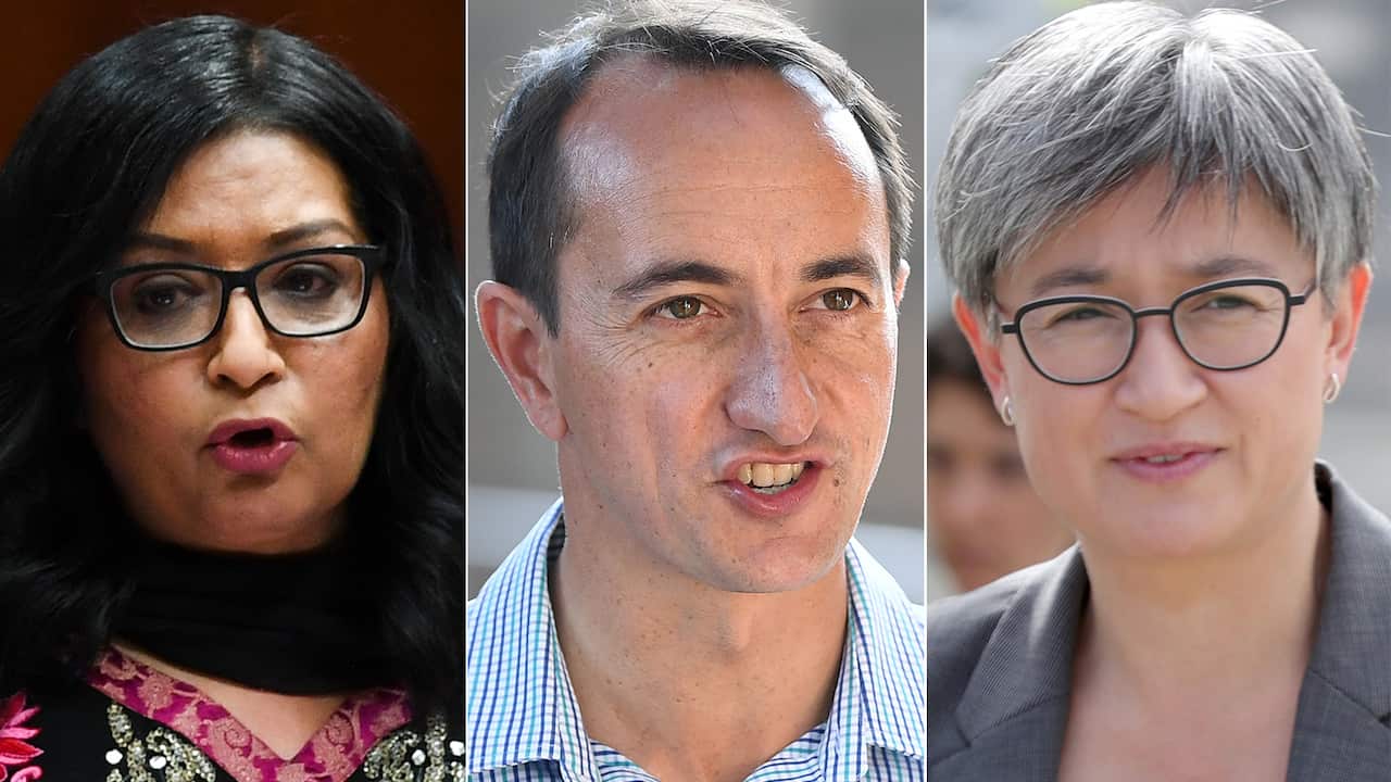 Mehreen Faruqi, Dave Sharma, Penny Wong. 
