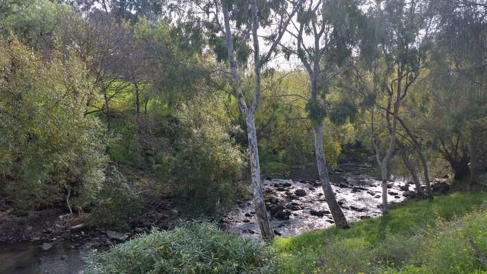 Melbourne's Merri Creek one of the sites where Batman is believed to have signed his treaty SBS