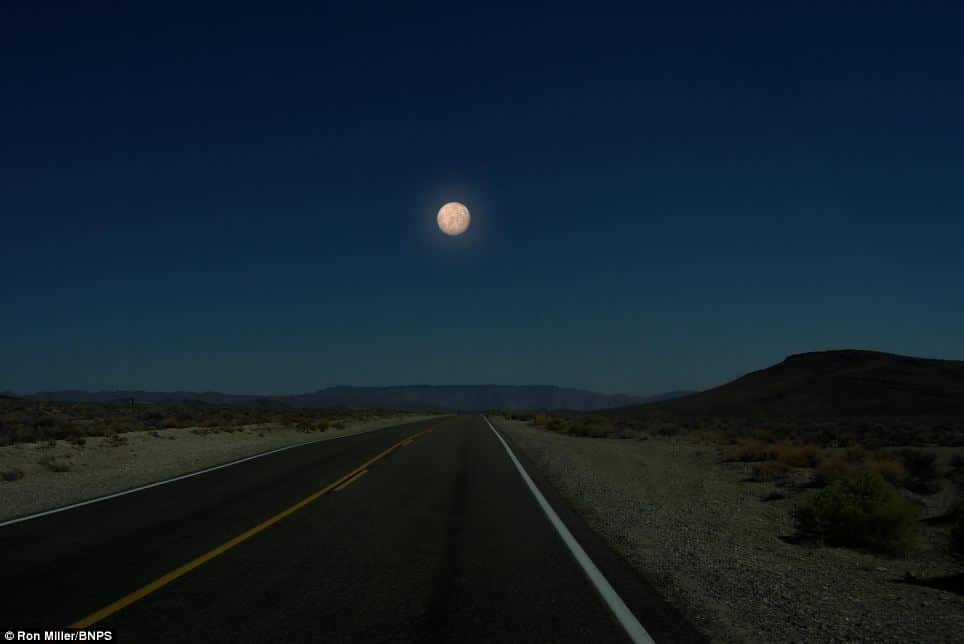 Mercury © Ron Miller/BNPS