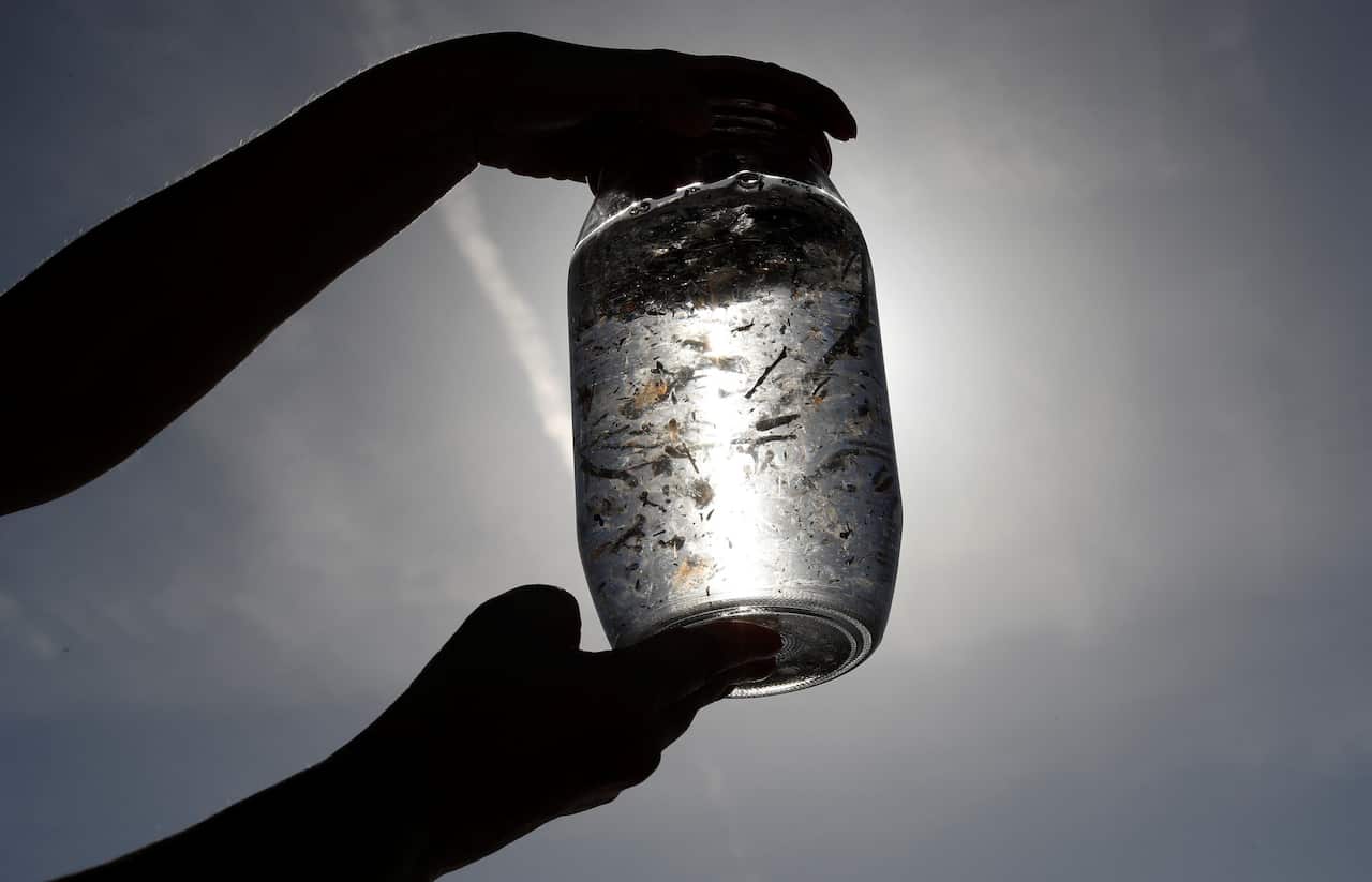A marine biologist specializing in microplastics examined a water sample from the Mediterranean Sea.