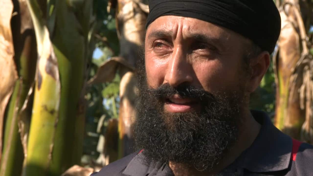 Devastating drought affecting coastal farms