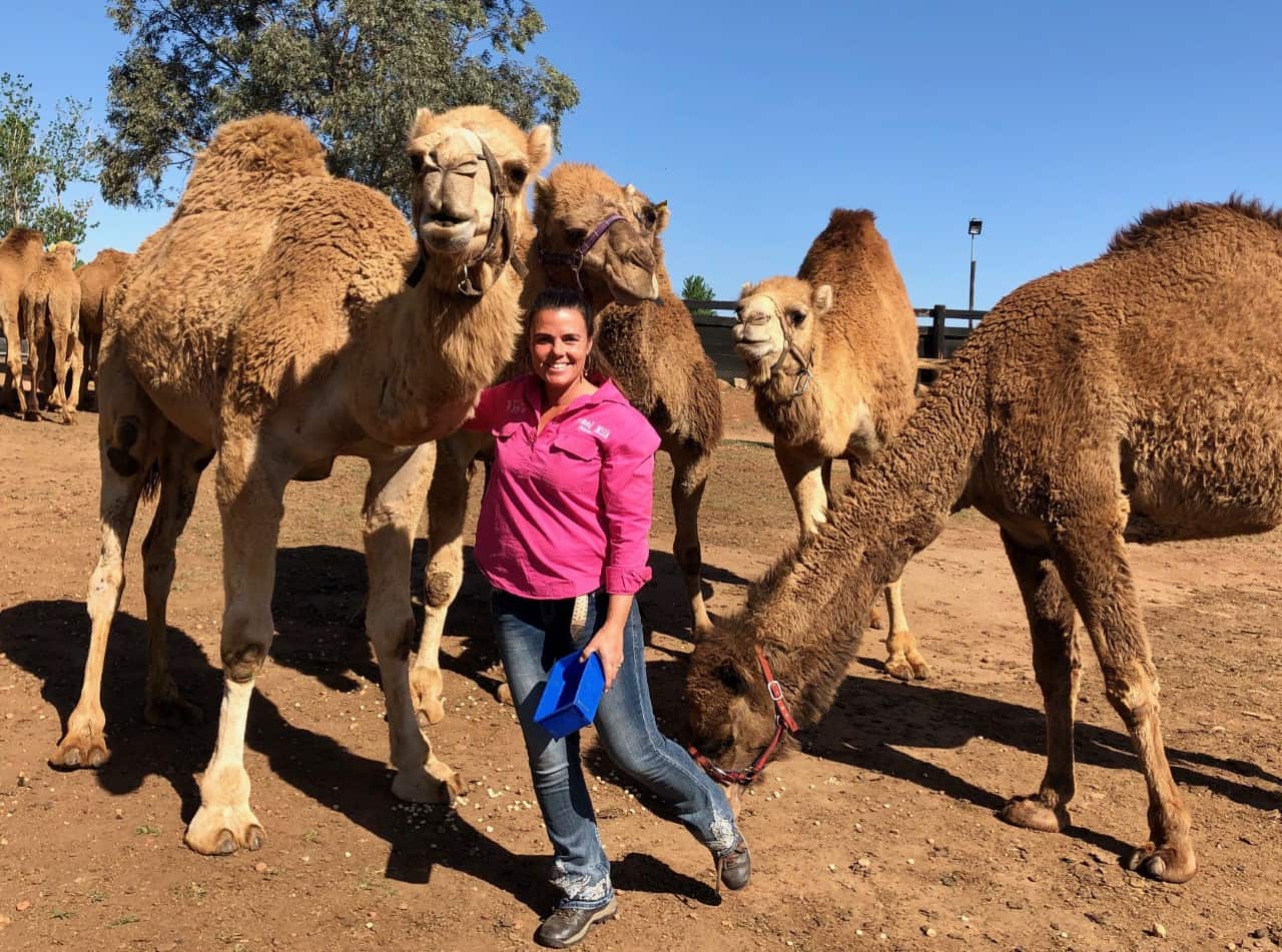 Camel farmer Michelle Phillips 