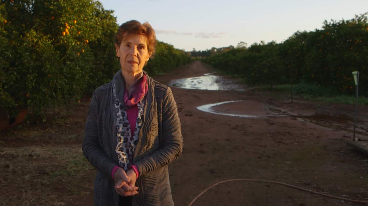 Joe's pride ... a year after her husband's death, Mim Pasin prays for a cure to MND. She continues the harvest. “That will be in history. That's got Joe stamped on it.”