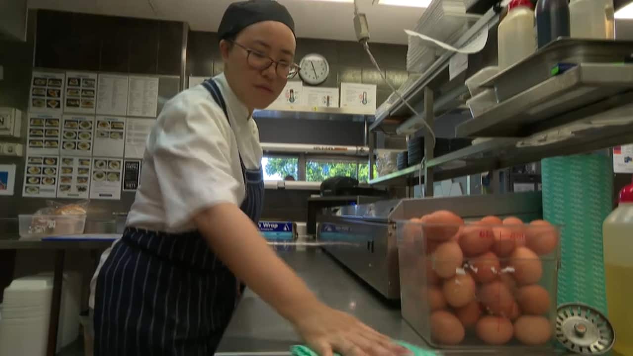 Junior chef Wei 'Mira' Chen is facing deportation after two businesses willing to sponsor her collapsed. 