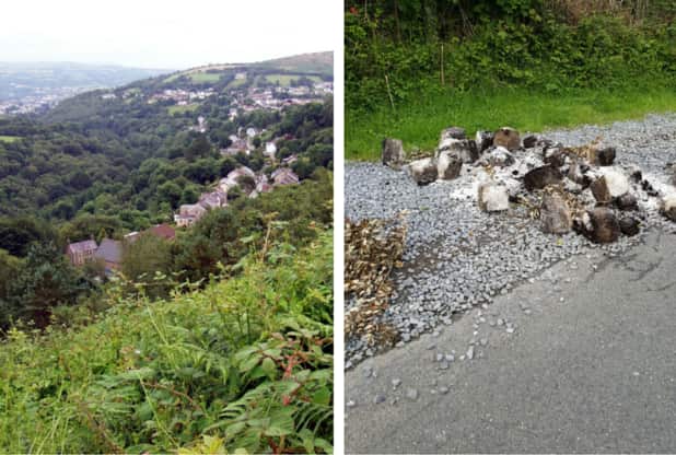 Village of Craig Cefn Parc