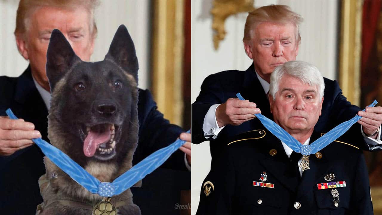 The doctored image, released by Mr Trump via Twitter, and the original photo of the president awarding the Medal of Honour. 
