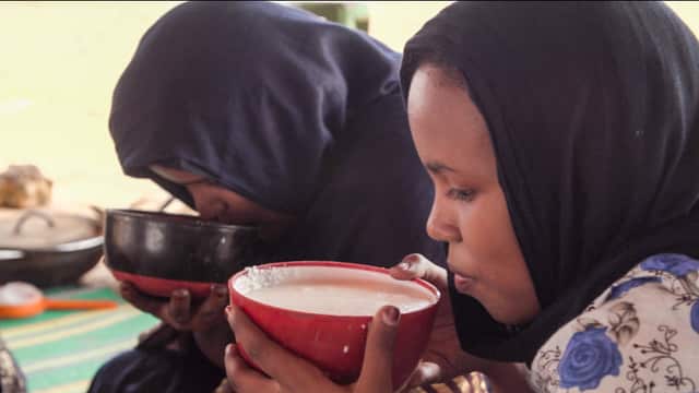 forced to be fat. 11 year old mone does gavage.