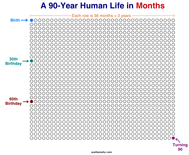 A 90-Year Human Life in Months