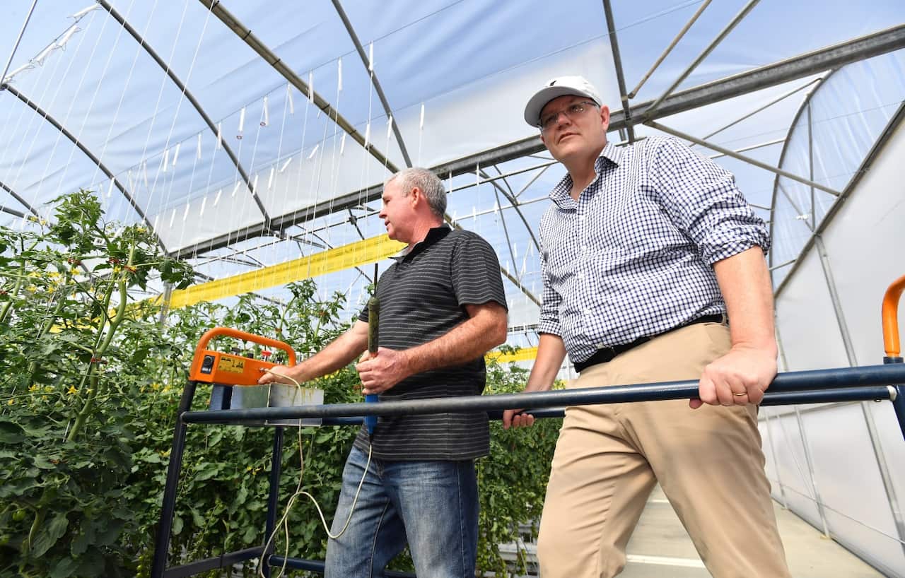 Prime Minister Scott Morrison is seen with Aquasun Director Keith Webb during a visit to Aquasun Produce in Murray Bridge, South Australia, Saturday, October 13, 2018. 