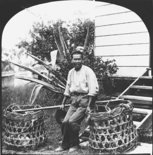 Chinese fruit and vegetable merchant, possibly known as 'Vegetable John'.